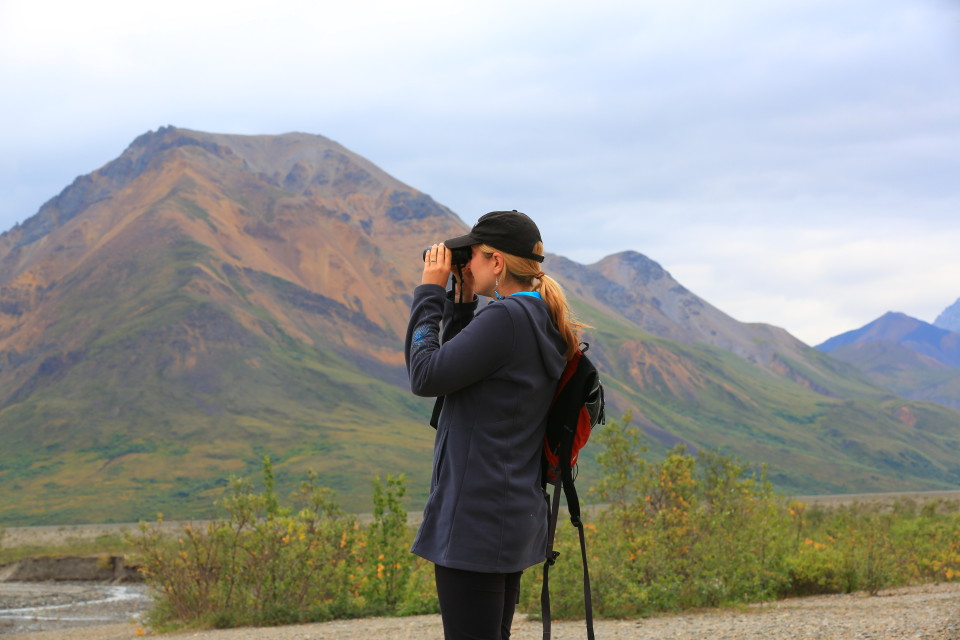Me looking at the dall sheep. I think this is how I looked most of my time in the park, it was like walking around a National Geographic episode. 