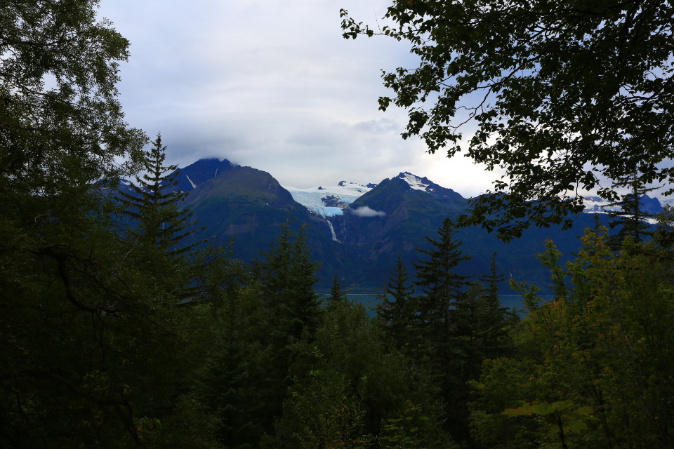 The view of Davidson Glacier as we hiked back out.