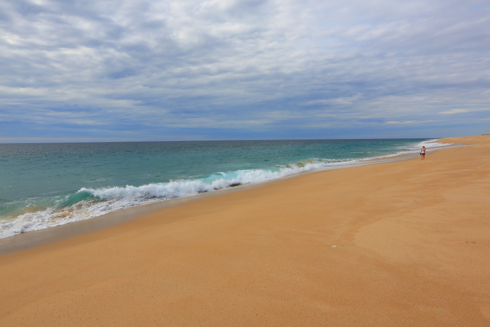 This is the beach next to Todos Santos where they release sea turtles. Inquire in town to the times they let them go.
