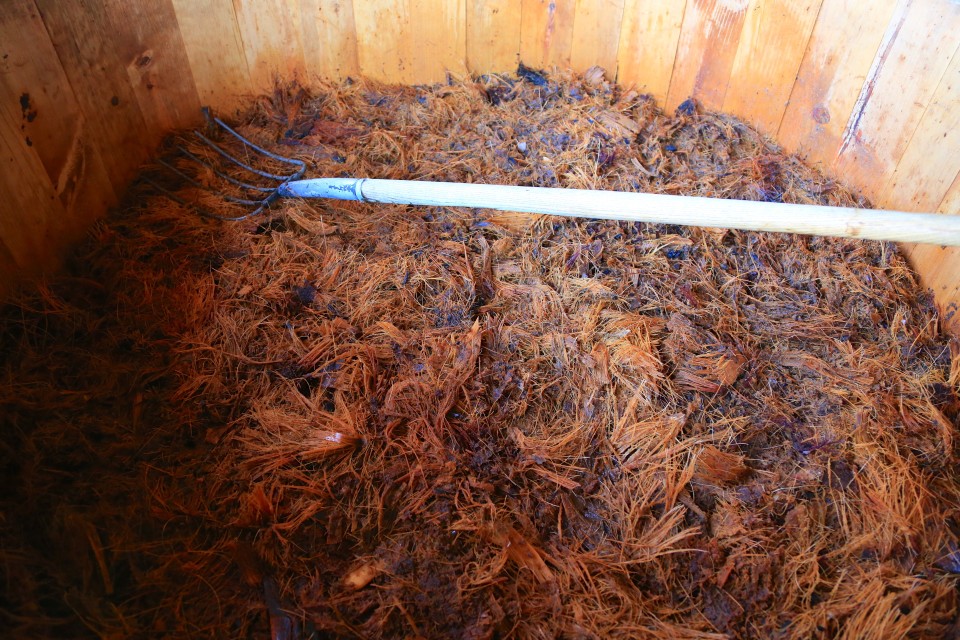 The sweet, stringy agave fermenting.