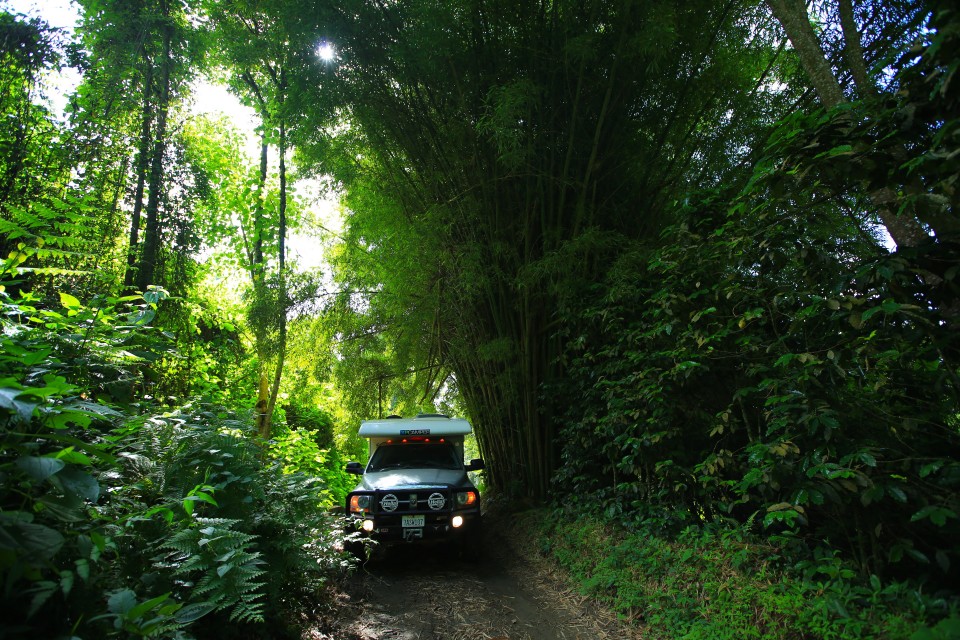 The drive up to the mountains was through dense jungle.