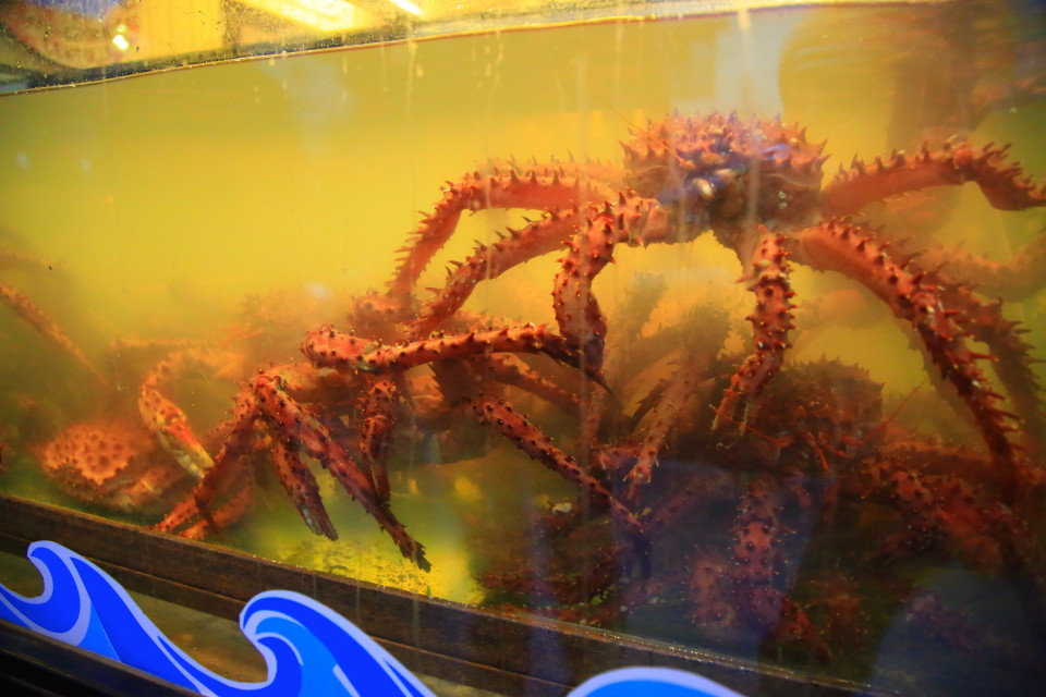 Giant king crab caught fresh daily!